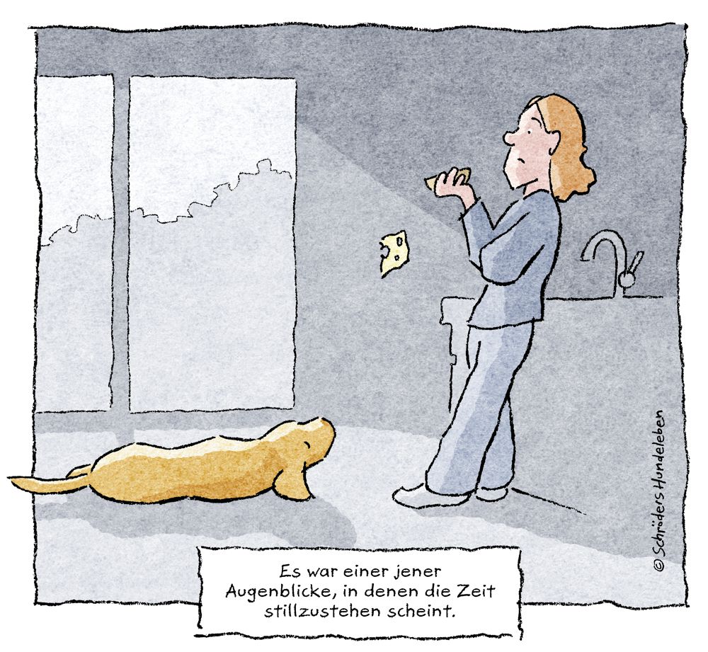 Darf ich meinem Hund Käse geben?