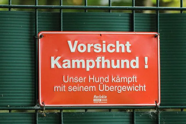 Witziges Hundeschild Vorsicht Kampfhund