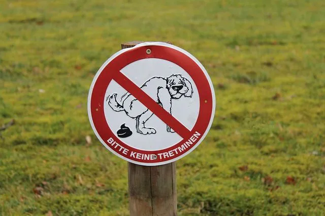 Hundekot-Schild Bitte keine Tretminen