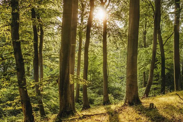 Nachhaltige Hundeschilder