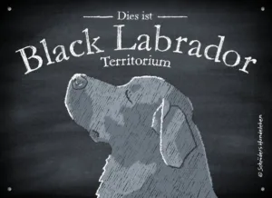 Hundeschild Labrador Retriever Black