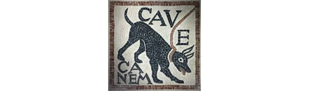 Hundewarnschild Cave Canem