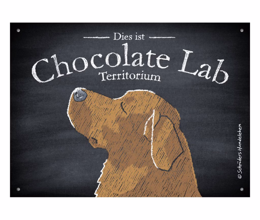 Chocolate Labrador Schild