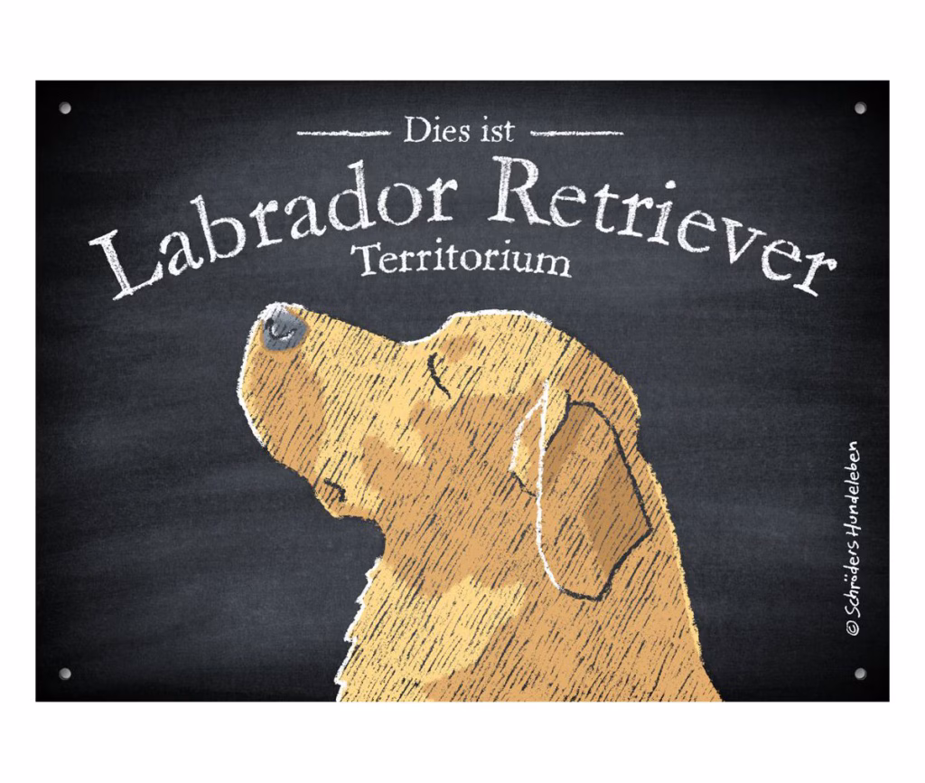 Yellow Labrador Schild